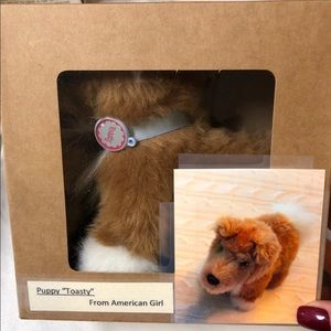 American Girl Puppy “Toasty”